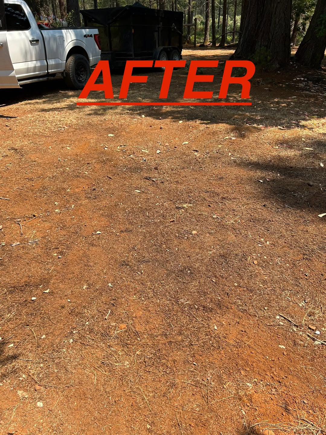 After Swept & Cleaned State